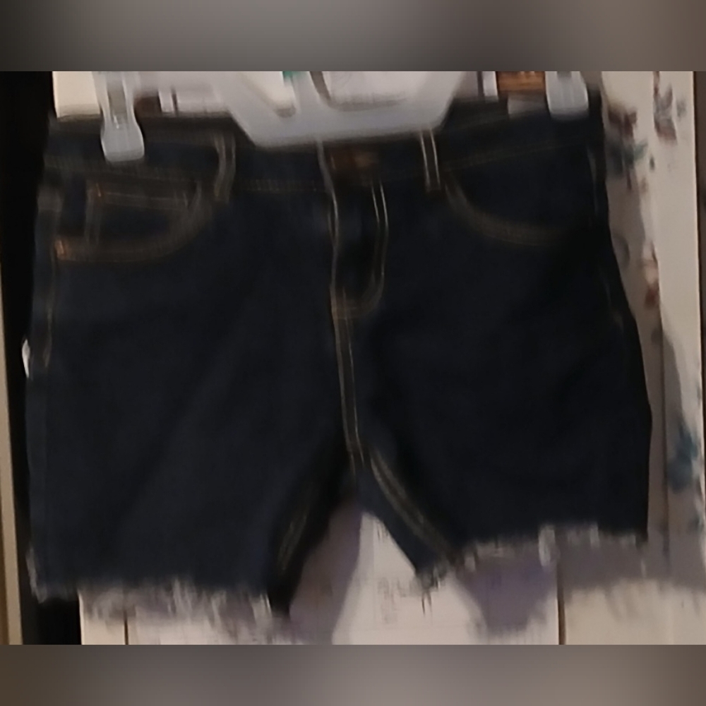 Lucky Brand Dark Blue Jean Shorts